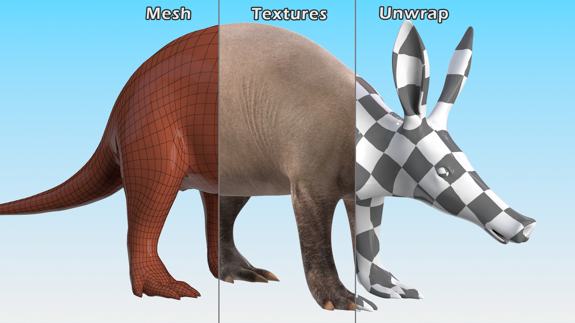 3D Orycteropus Afer Rigged model