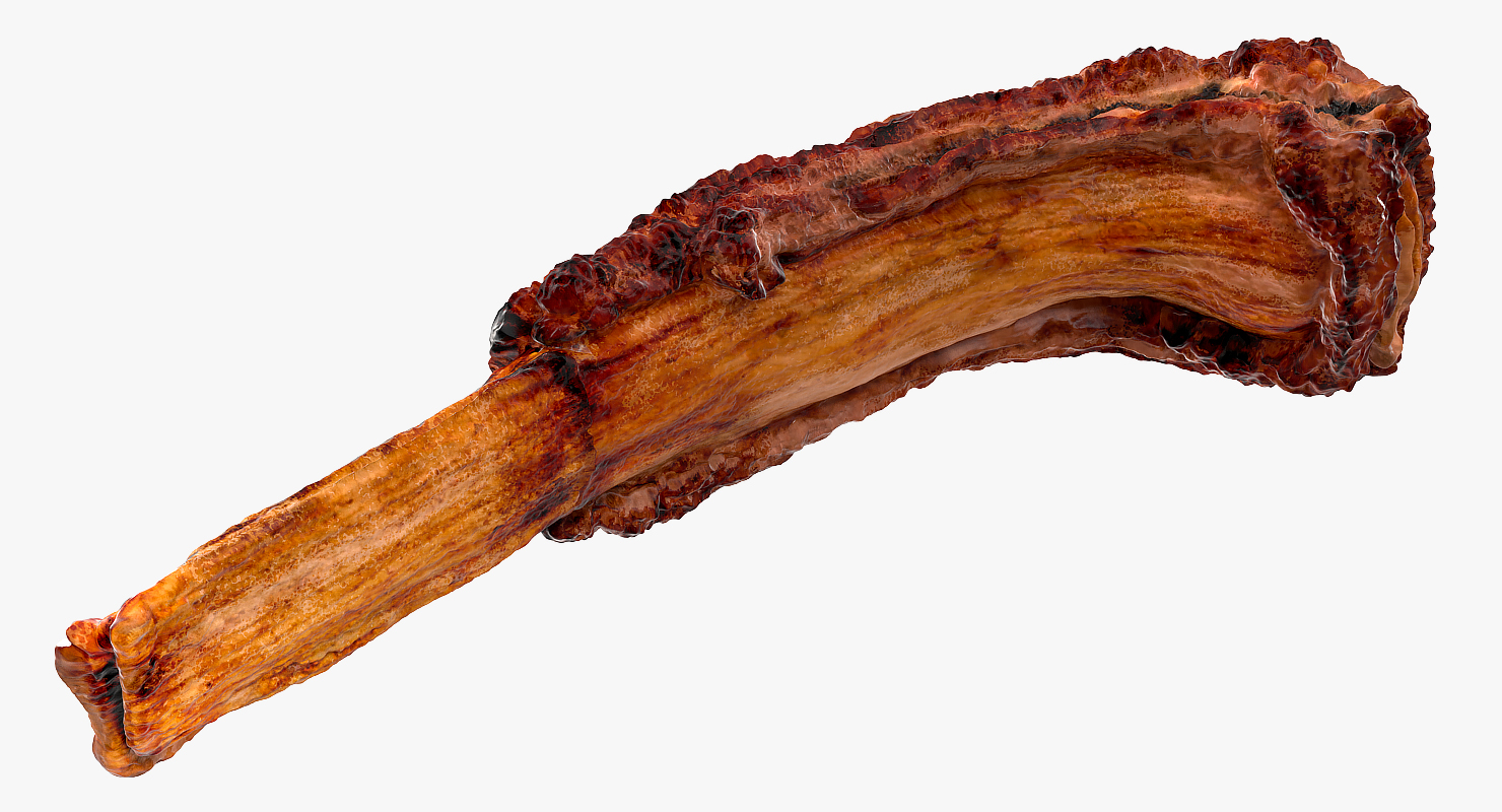 3D Grilled Rib