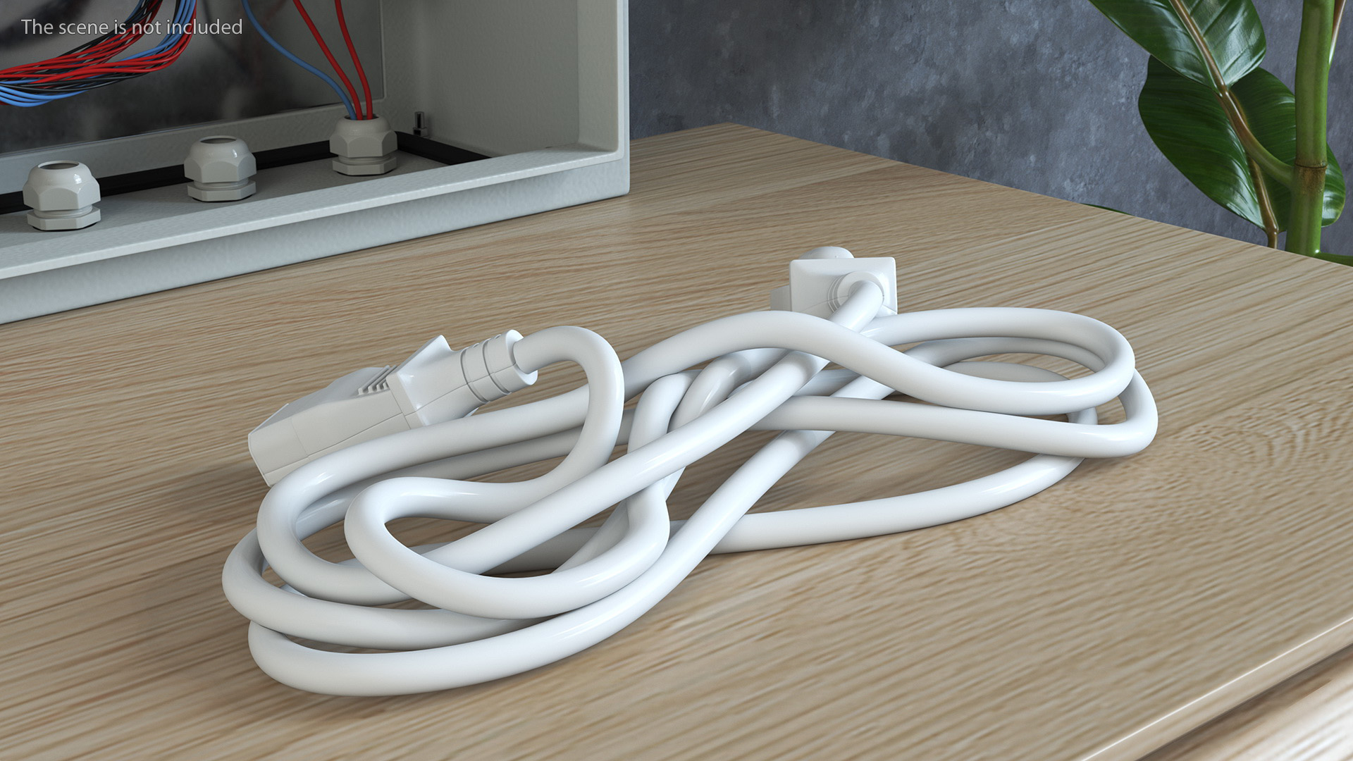 Power Cable with Plugs 3D