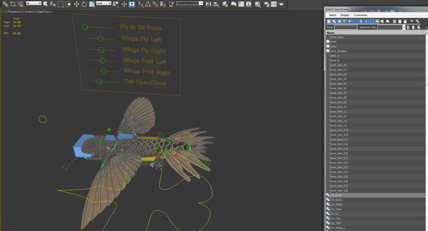 3D Broad Tailed Hummingbird Rigged