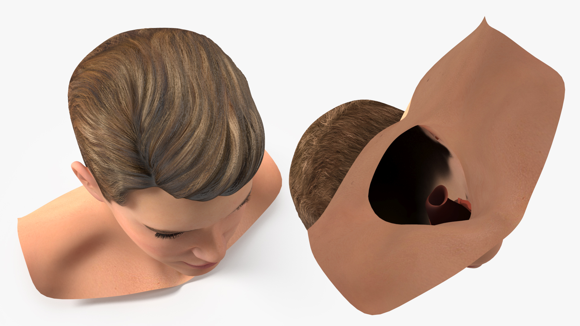 3D Teenage Boy Head