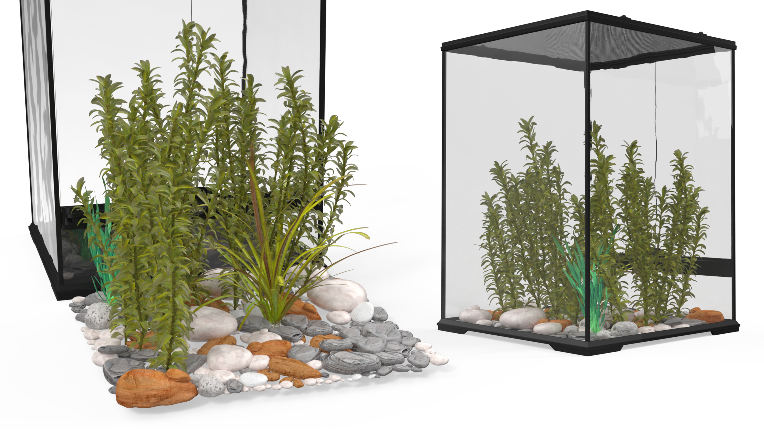 Tall Terrarium for Reptiles with Wild Plants 3D model