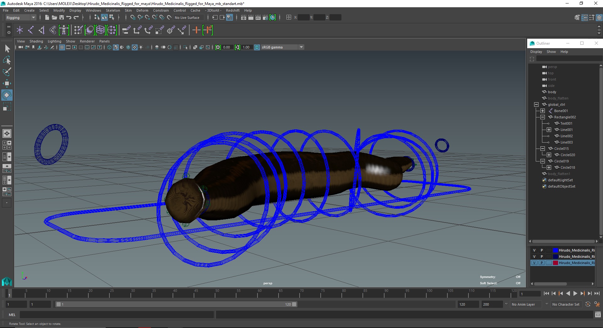 Hirudo Medicinalis Rigged for Maya 3D model