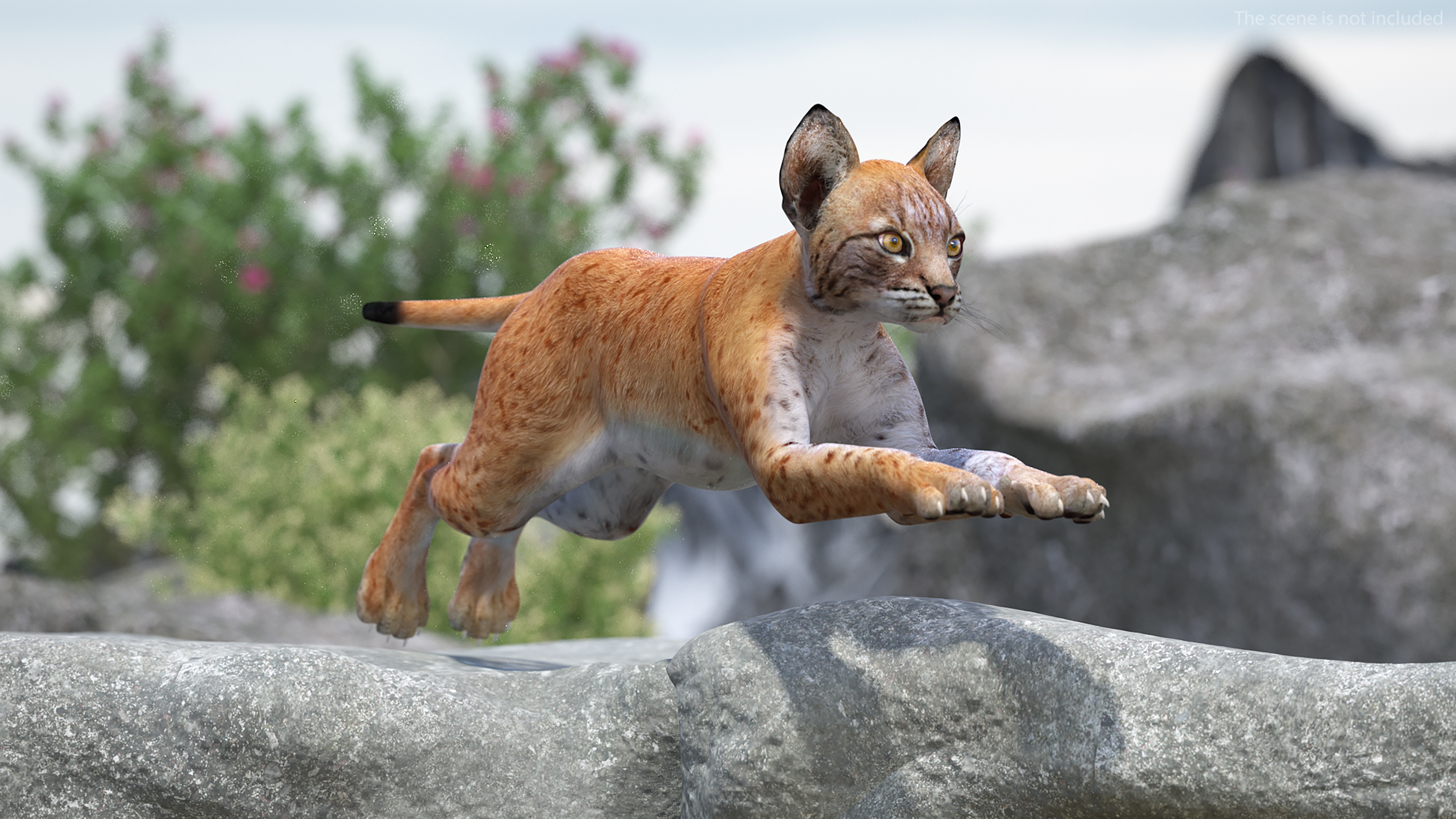 Lynx Cub in Jumping Pose 3D model