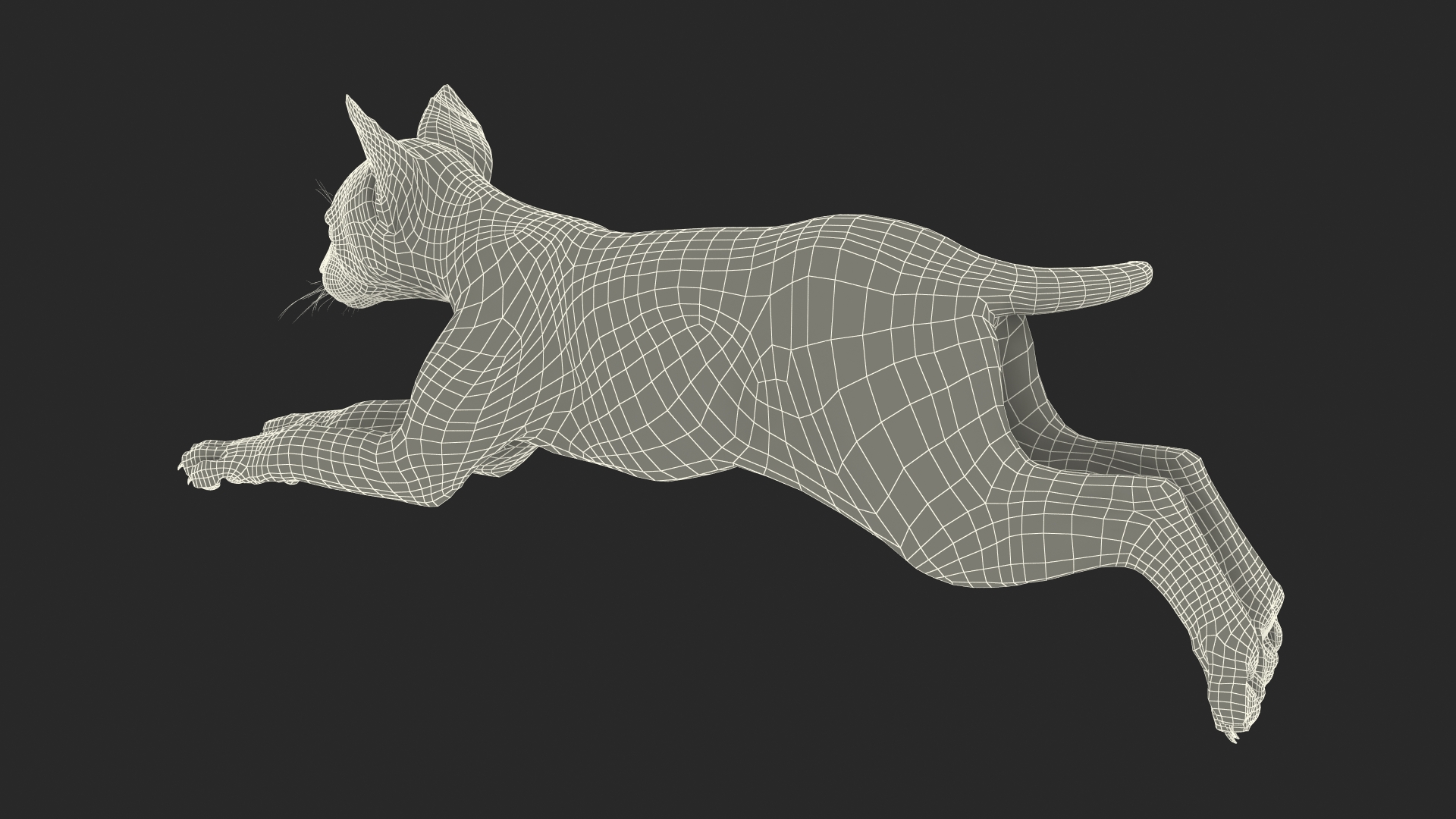 Lynx Cub in Jumping Pose 3D model