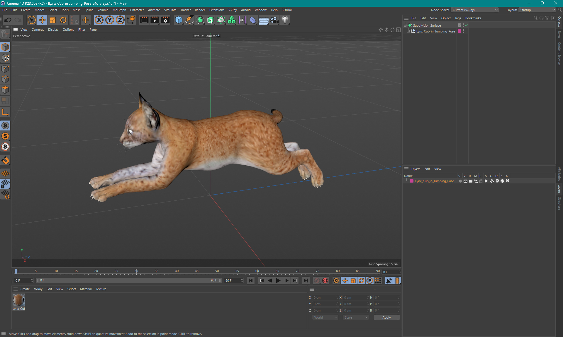 Lynx Cub in Jumping Pose 3D model