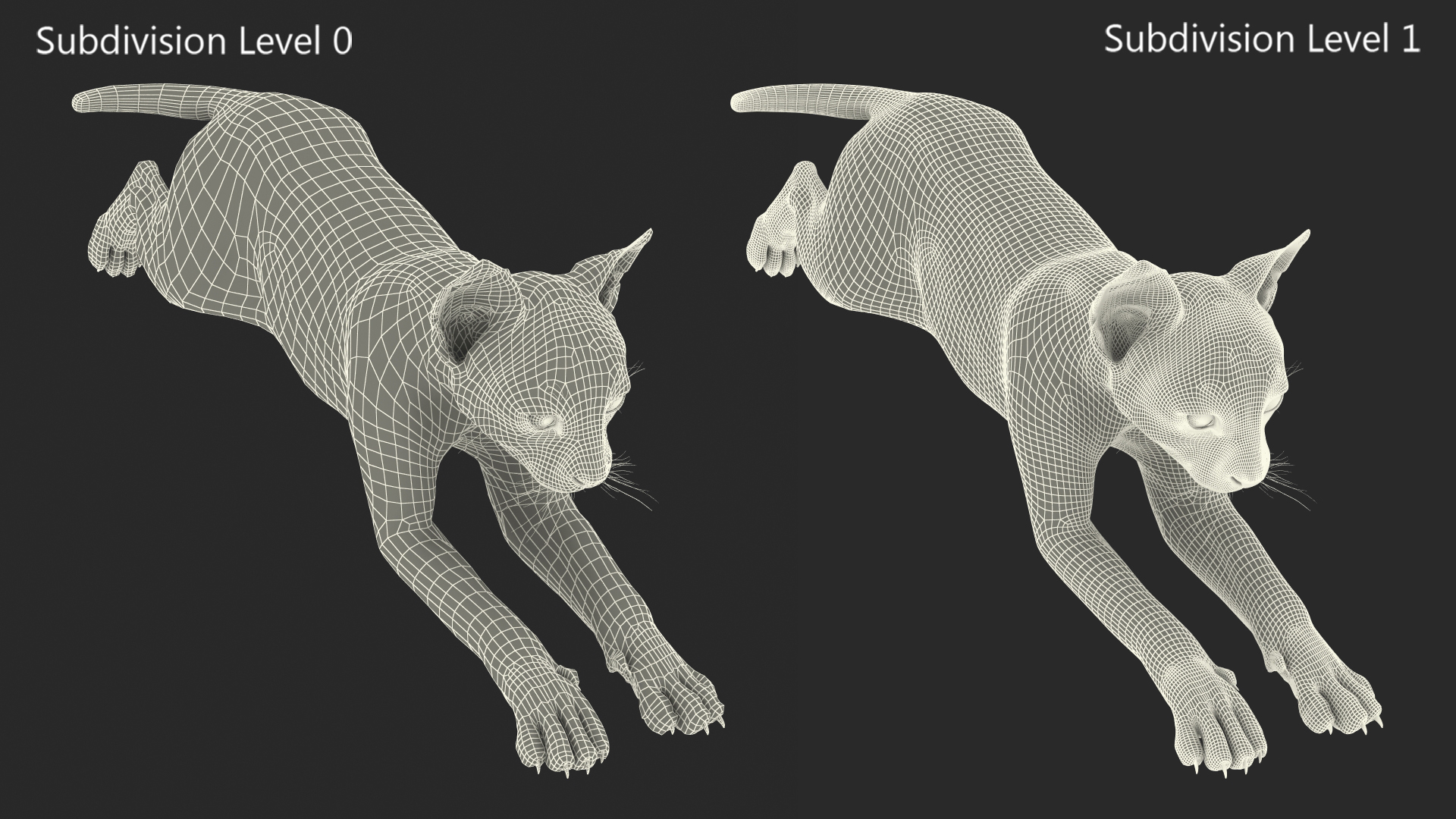 Lynx Cub in Jumping Pose 3D model