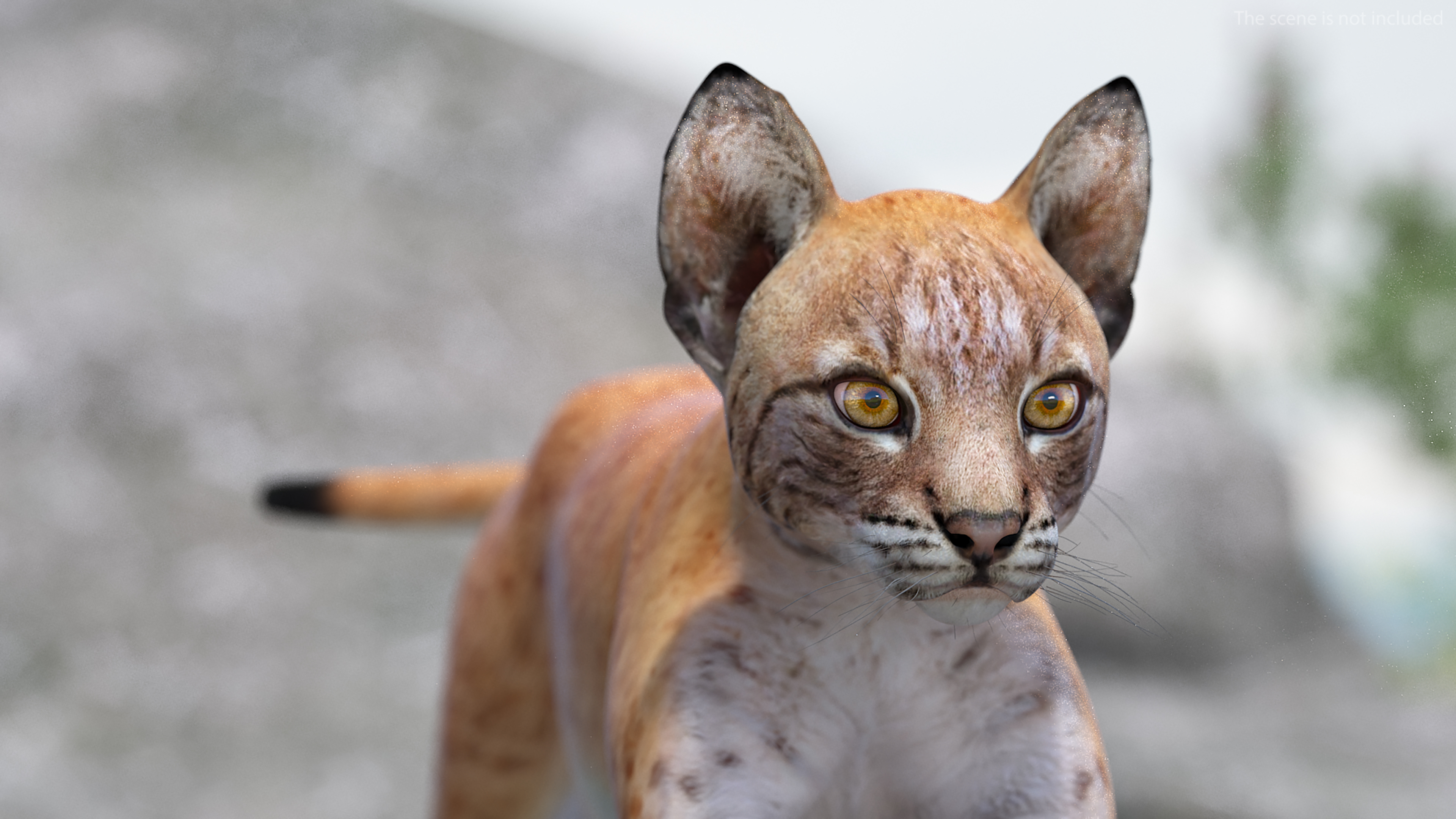 Lynx Cub in Jumping Pose 3D model