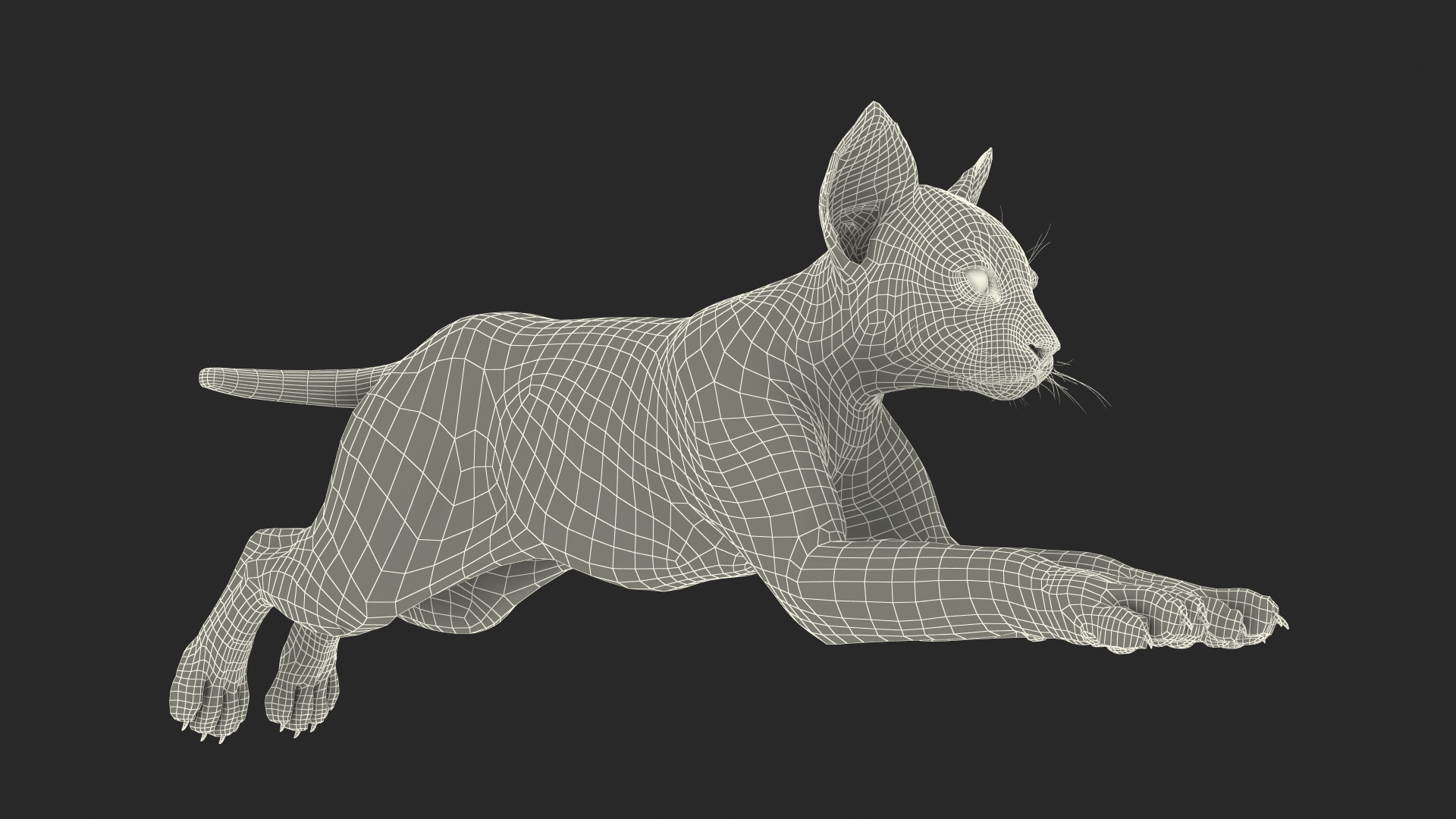 Lynx Cub in Jumping Pose 3D model