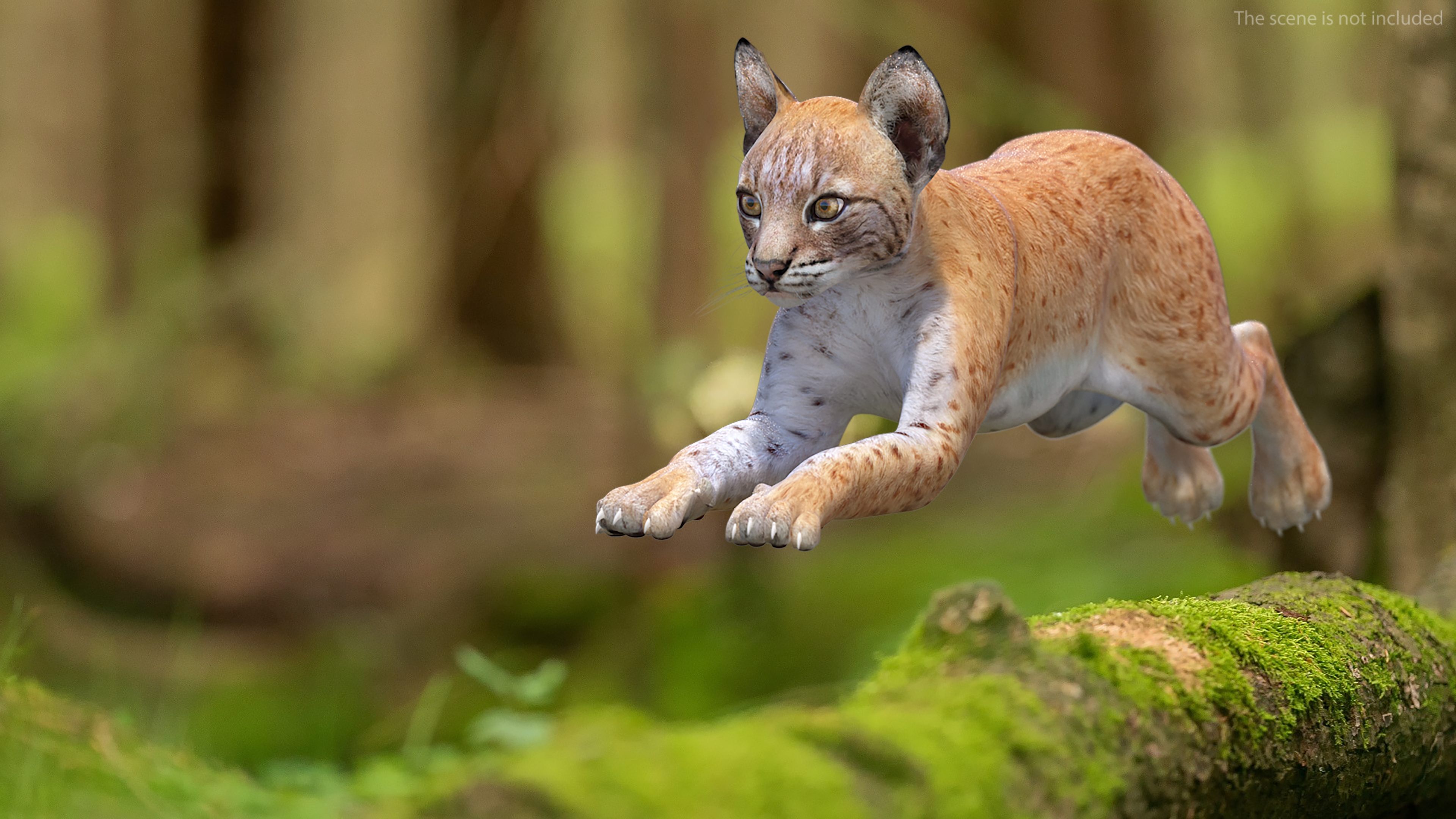 Lynx Cub in Jumping Pose 3D model