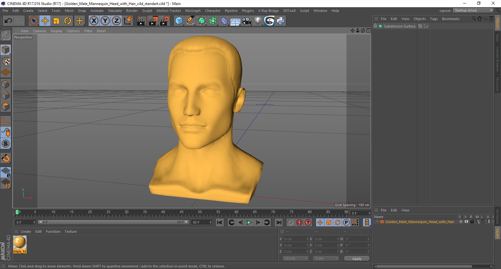 3D Golden Male Mannequin Head with Hair