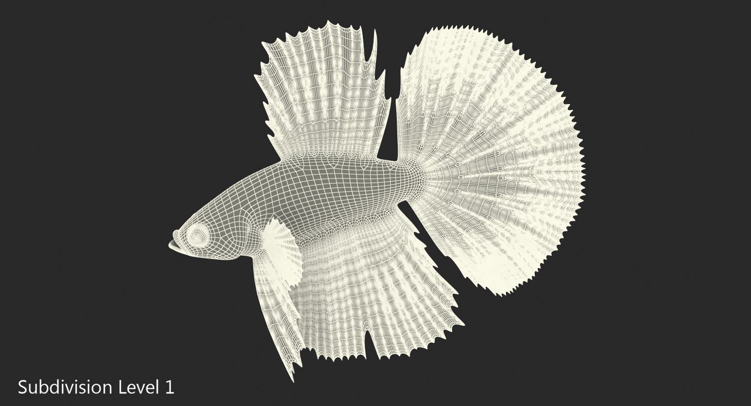 3D model Blue Betta Fish