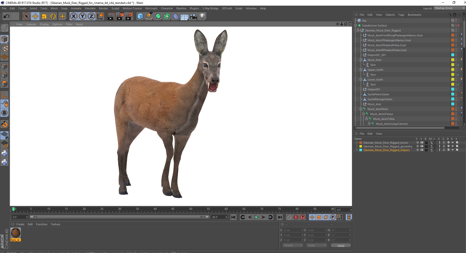 Siberian Musk Deer Rigged for Cinema 4D 3D model