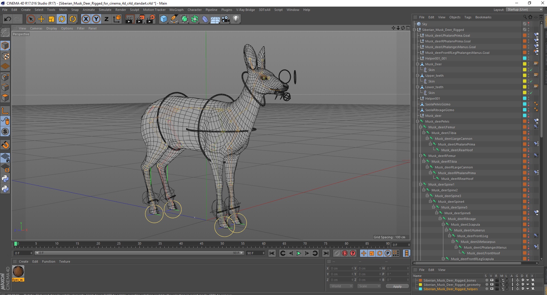 Siberian Musk Deer Rigged for Cinema 4D 3D model