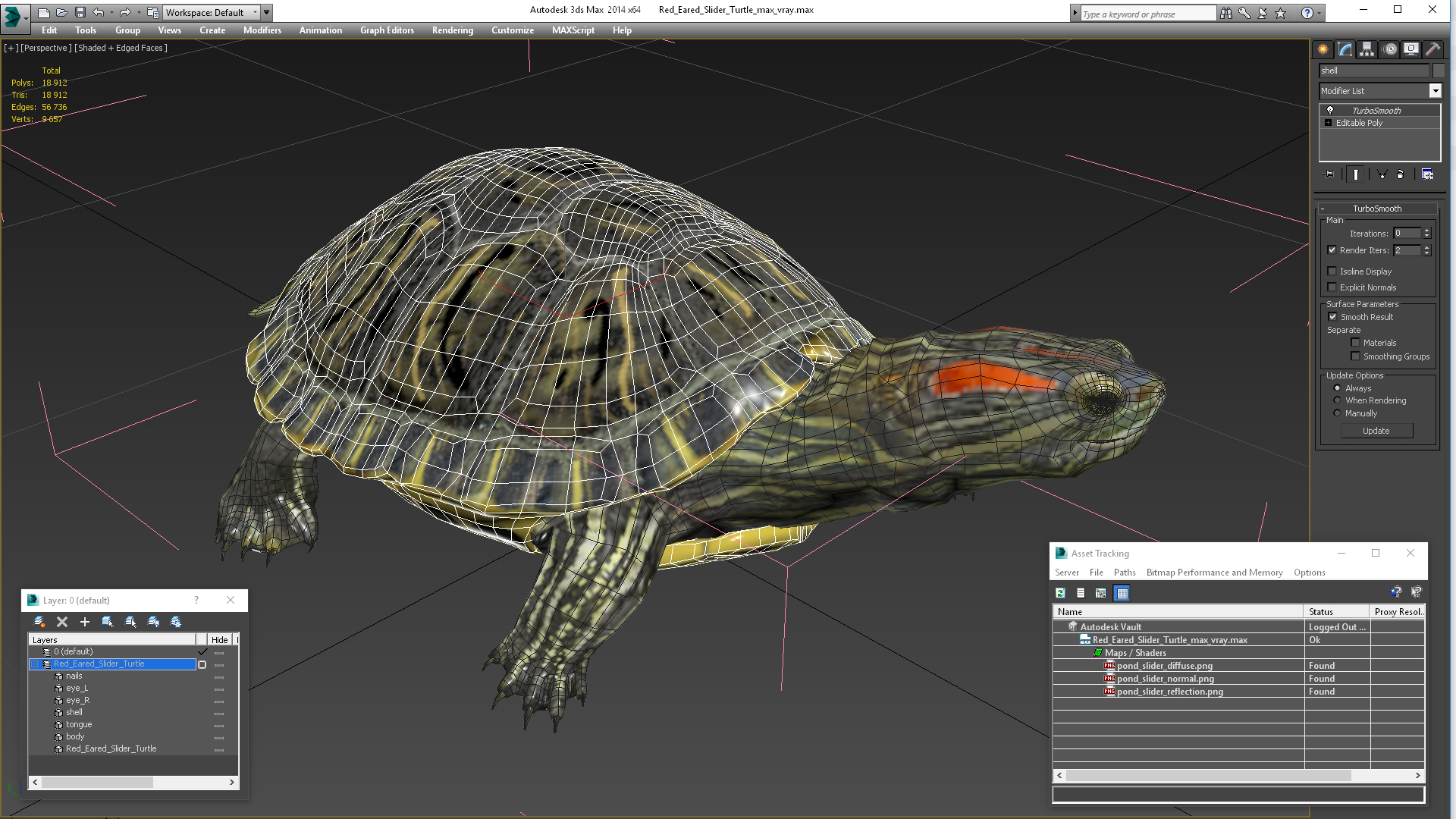 3D Red Eared Slider Turtle model