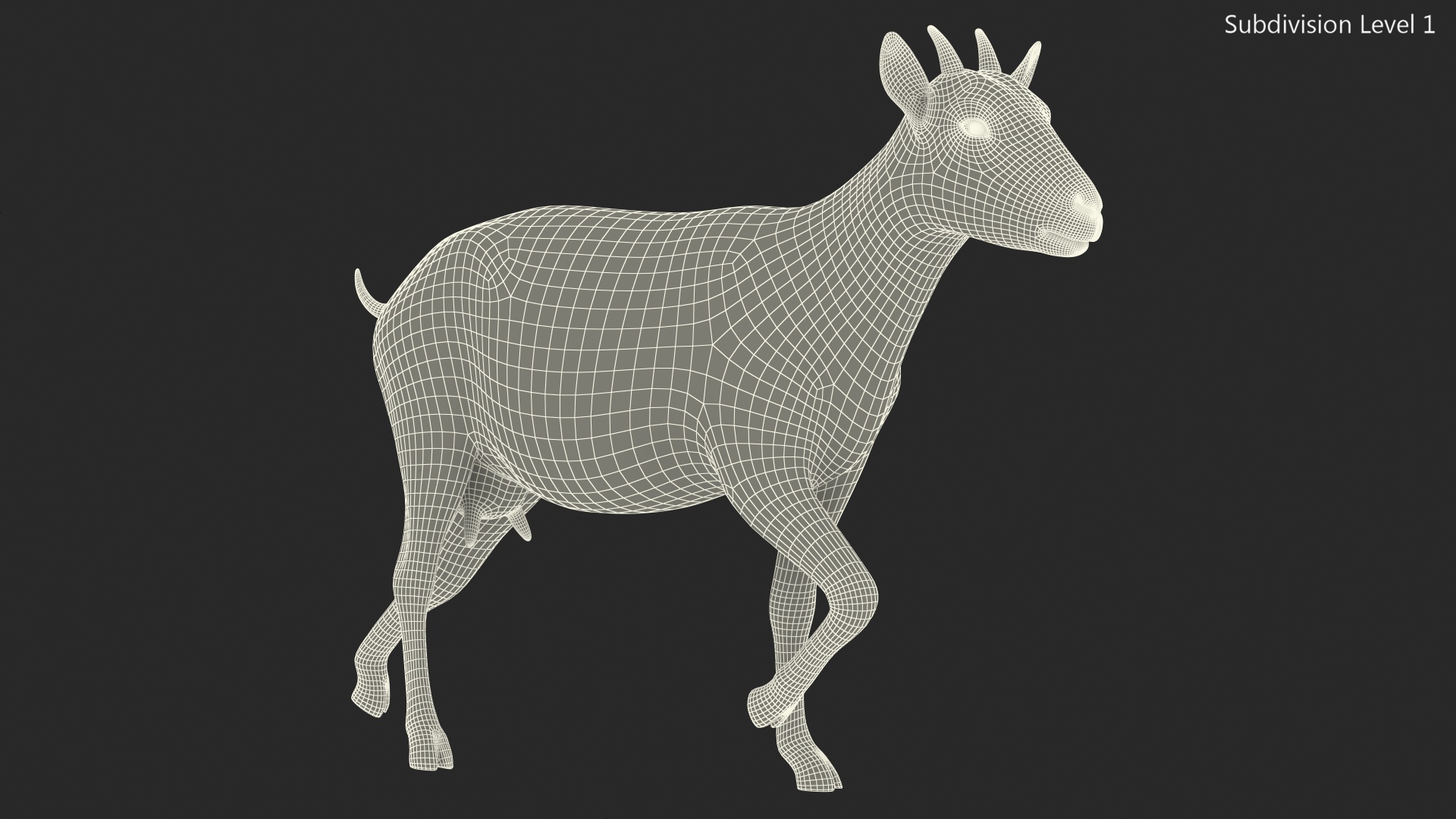 White Goat Walking Fur 3D