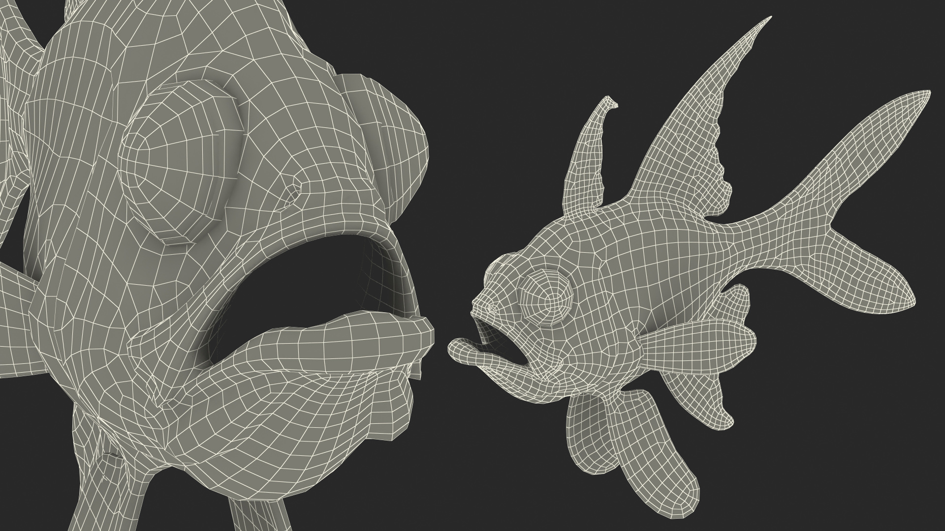 Banggai Cardinalfish Rigged 3D