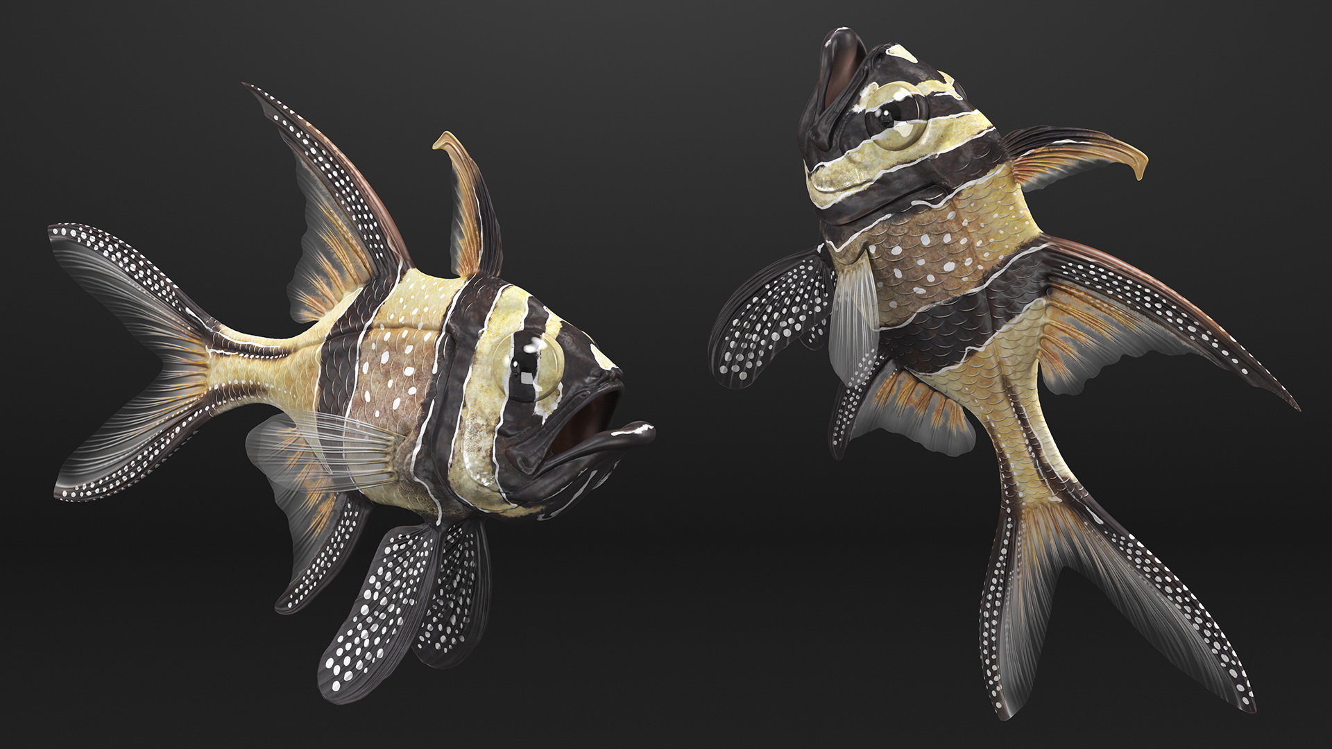 Banggai Cardinalfish Rigged 3D