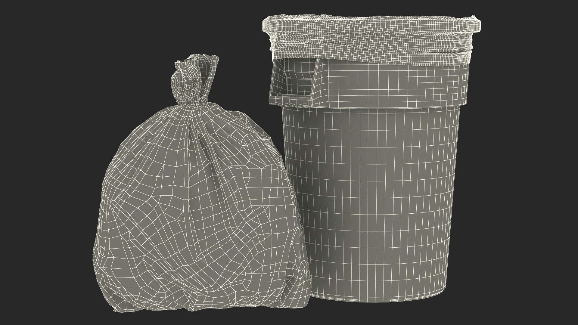 3D Eco Garbage Bags with Trash Bin