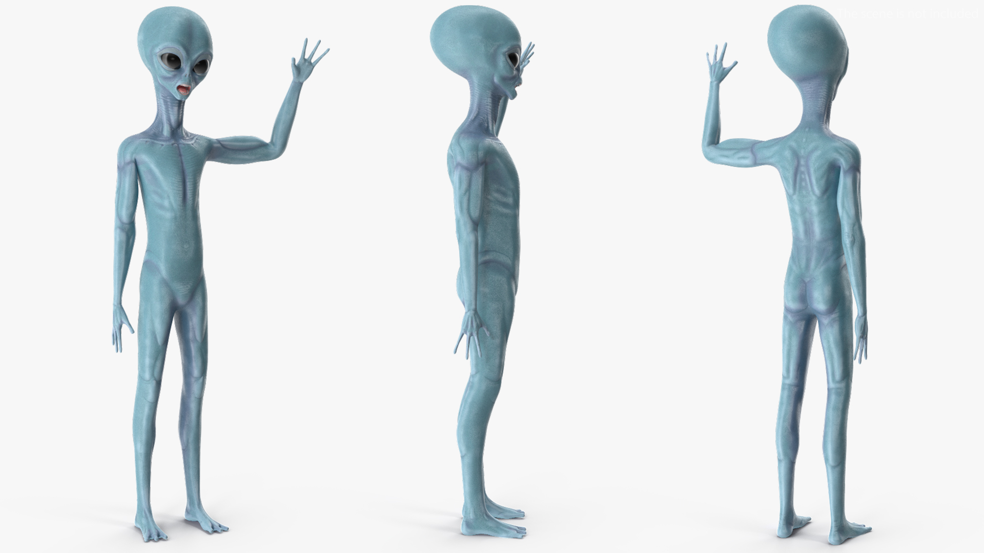 3D Space Alien Rigged model