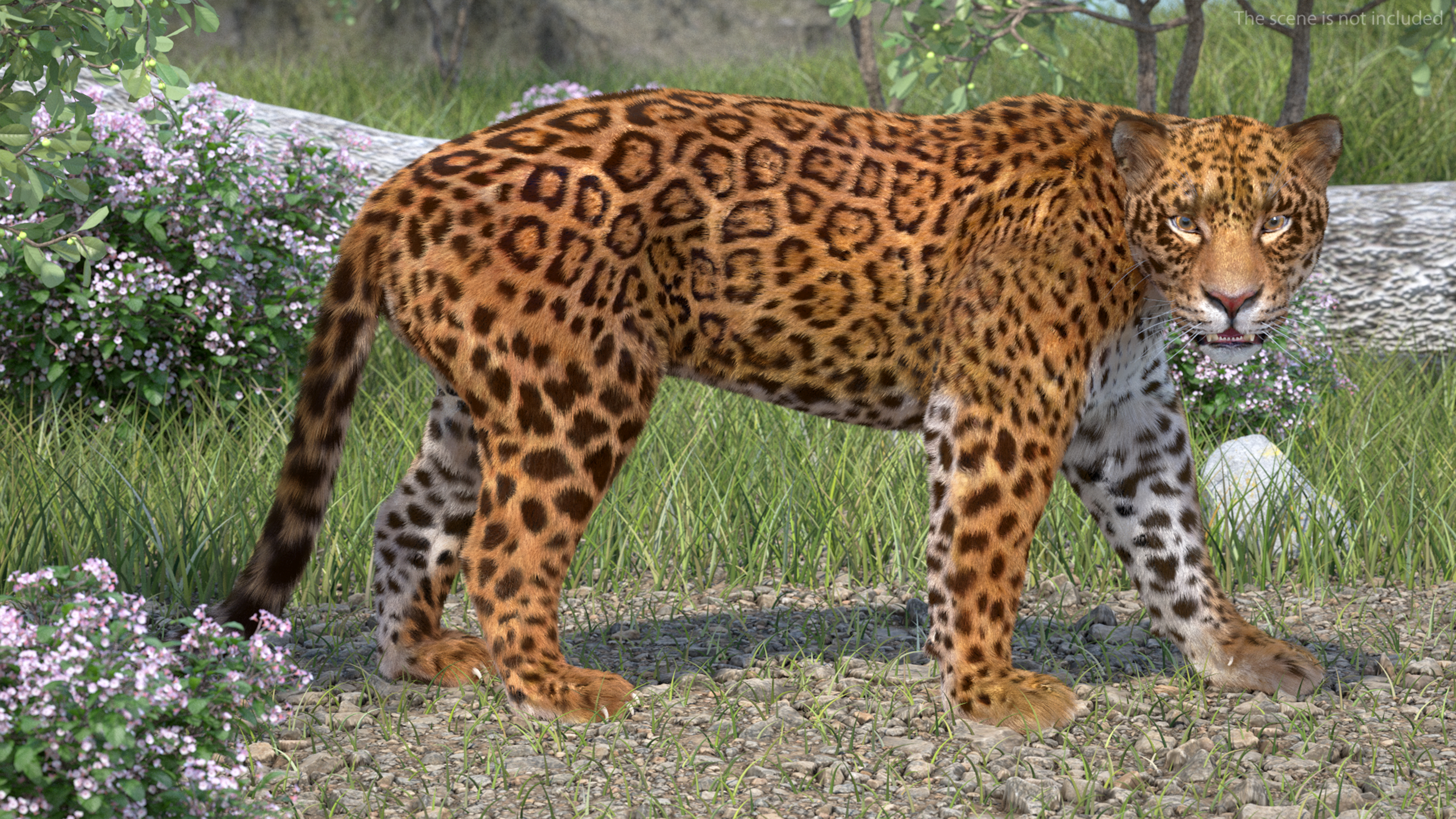 3D Jaguar Walking Pose Fur model