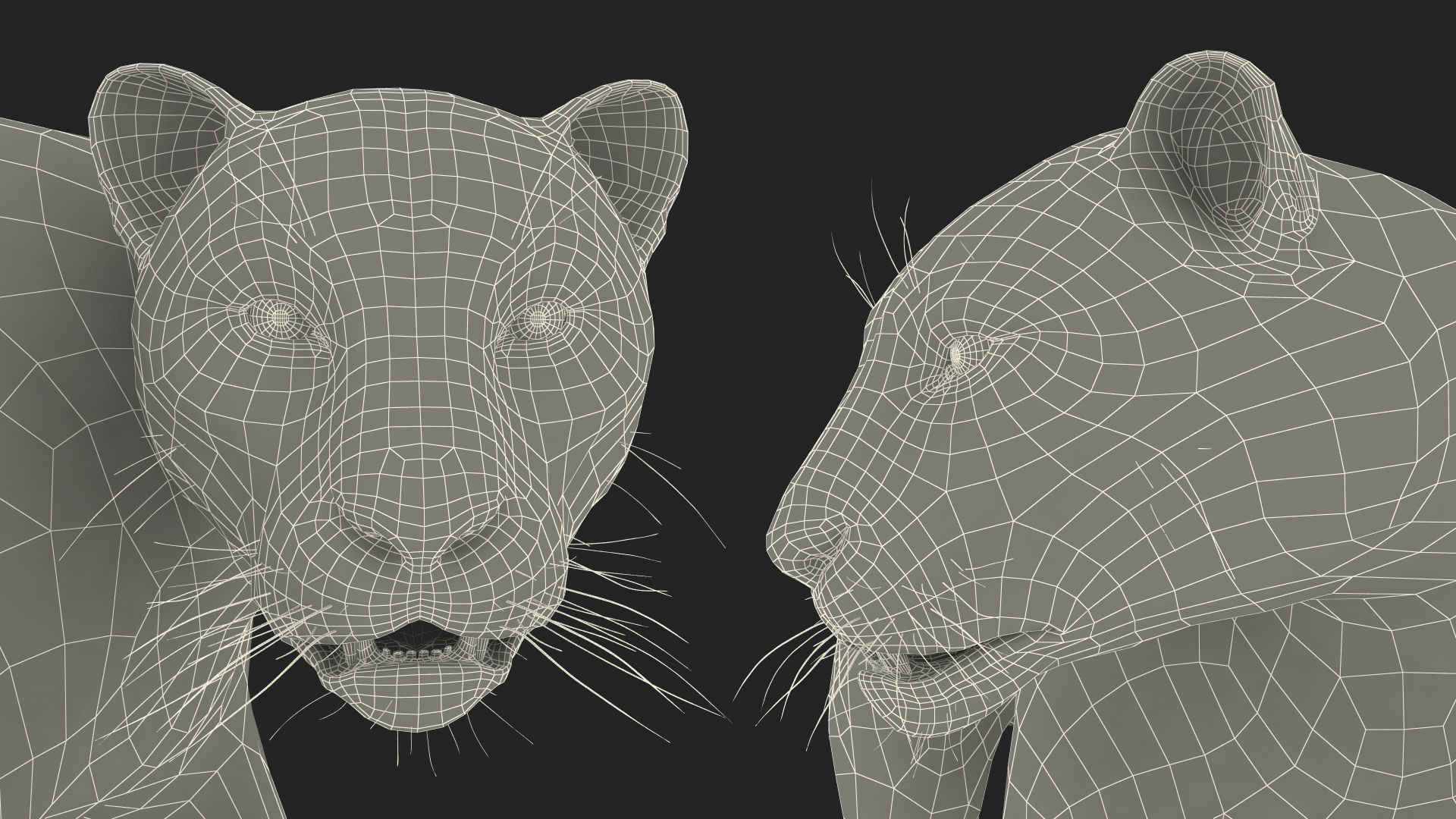 3D Jaguar Walking Pose Fur model