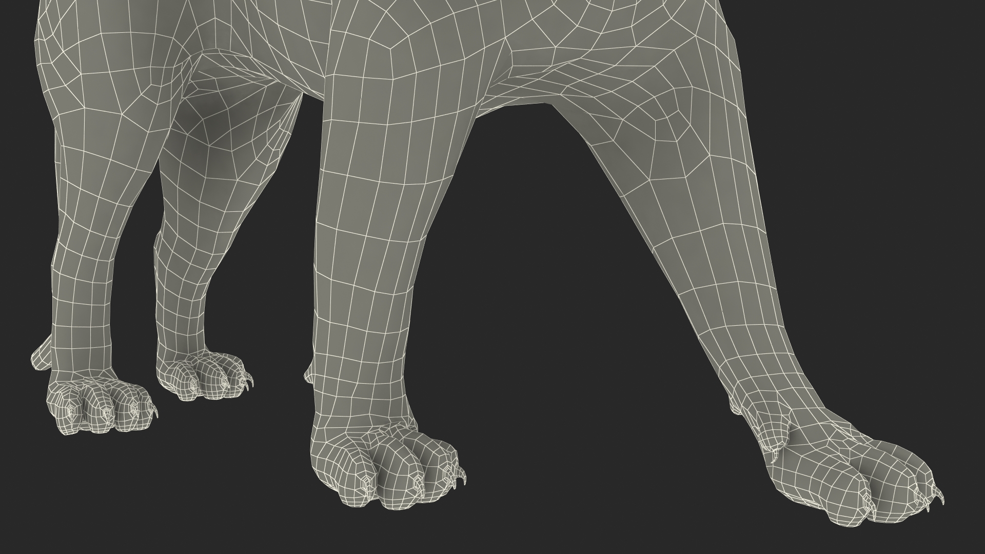 3D Jaguar Walking Pose Fur model