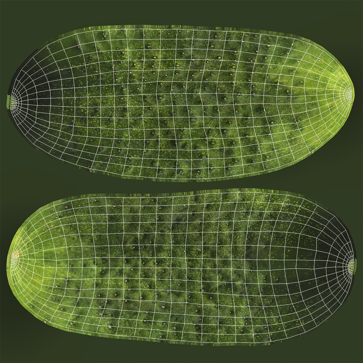 3D model Cucumber