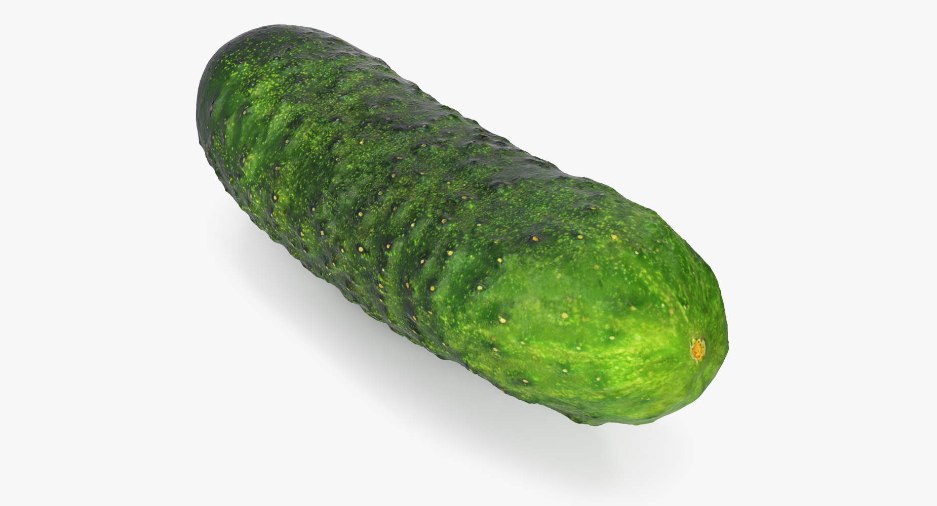 3D model Cucumber