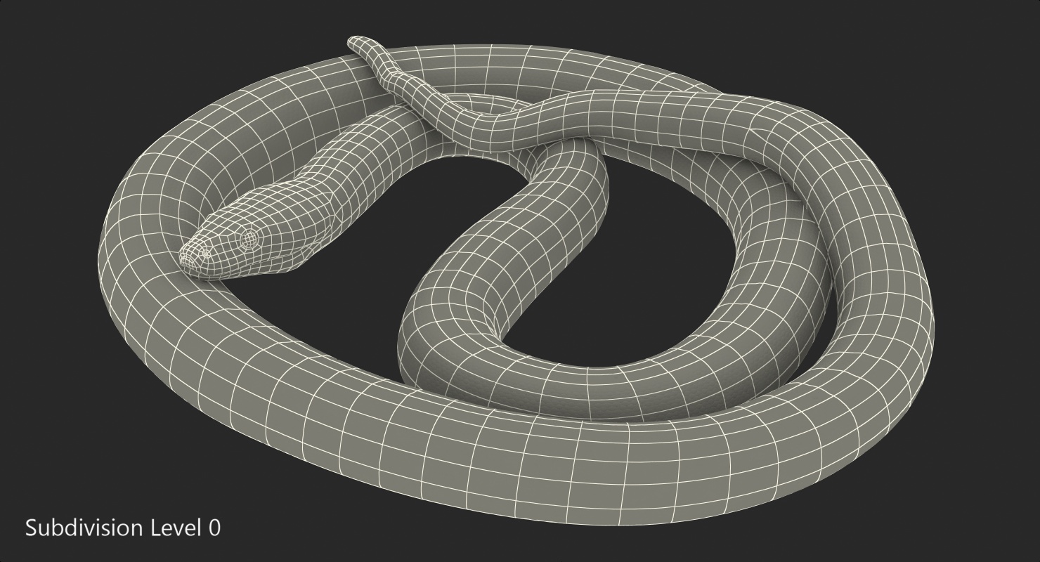 3D model Brown Python Snake Curled pose