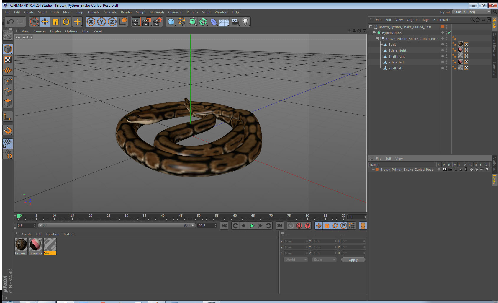 3D model Brown Python Snake Curled pose