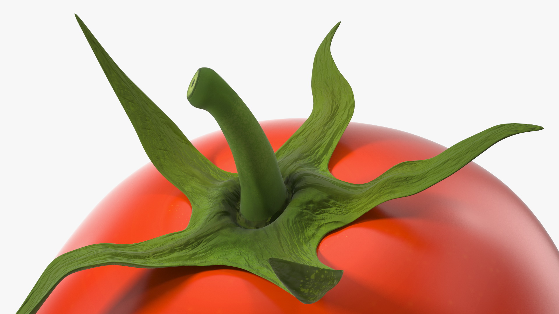 Red Cherry Tomato 3D