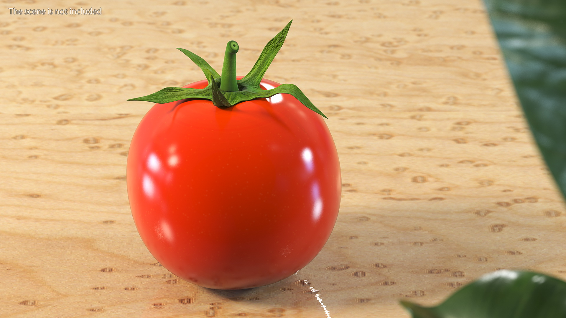 Red Cherry Tomato 3D