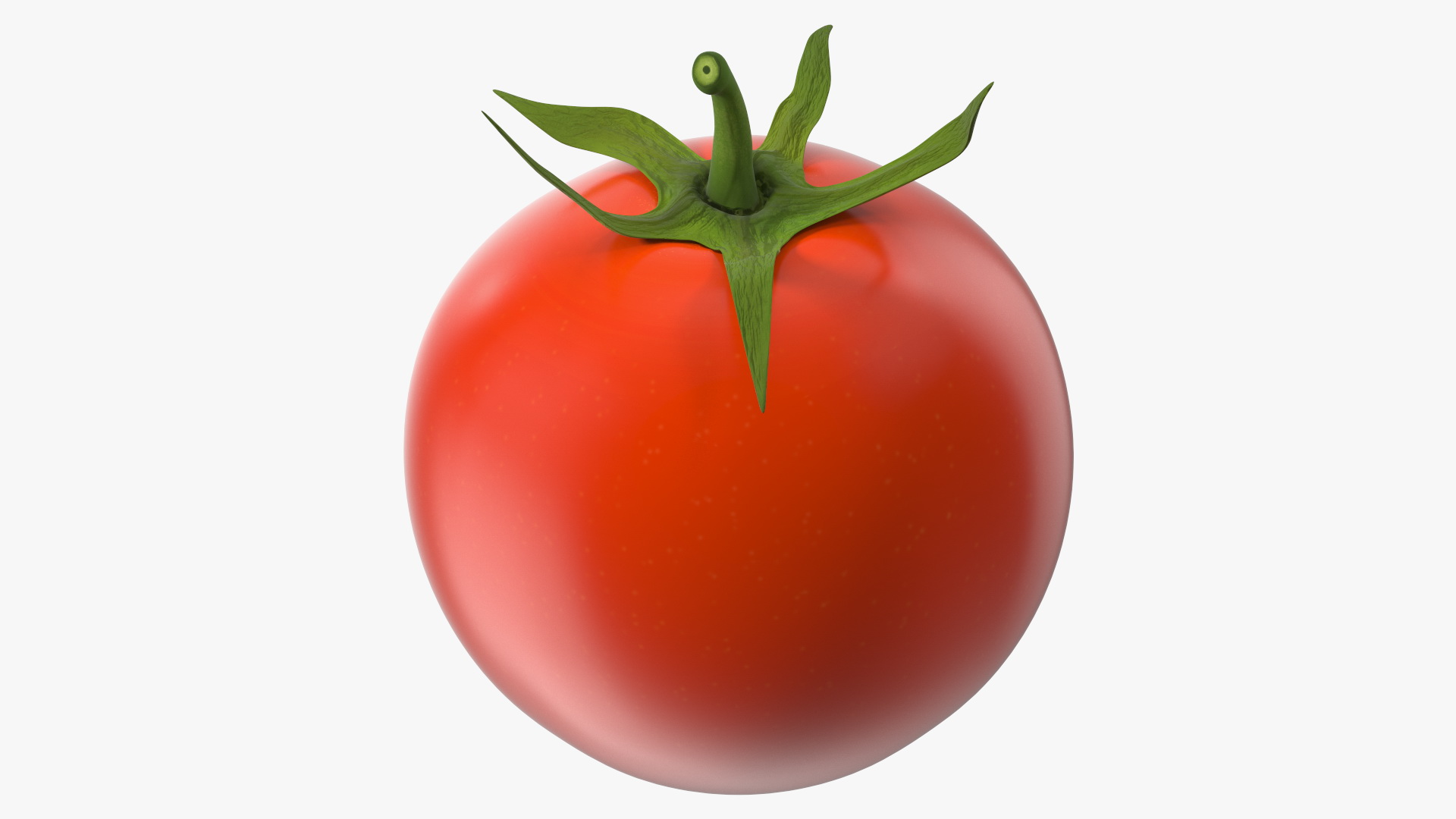 Red Cherry Tomato 3D