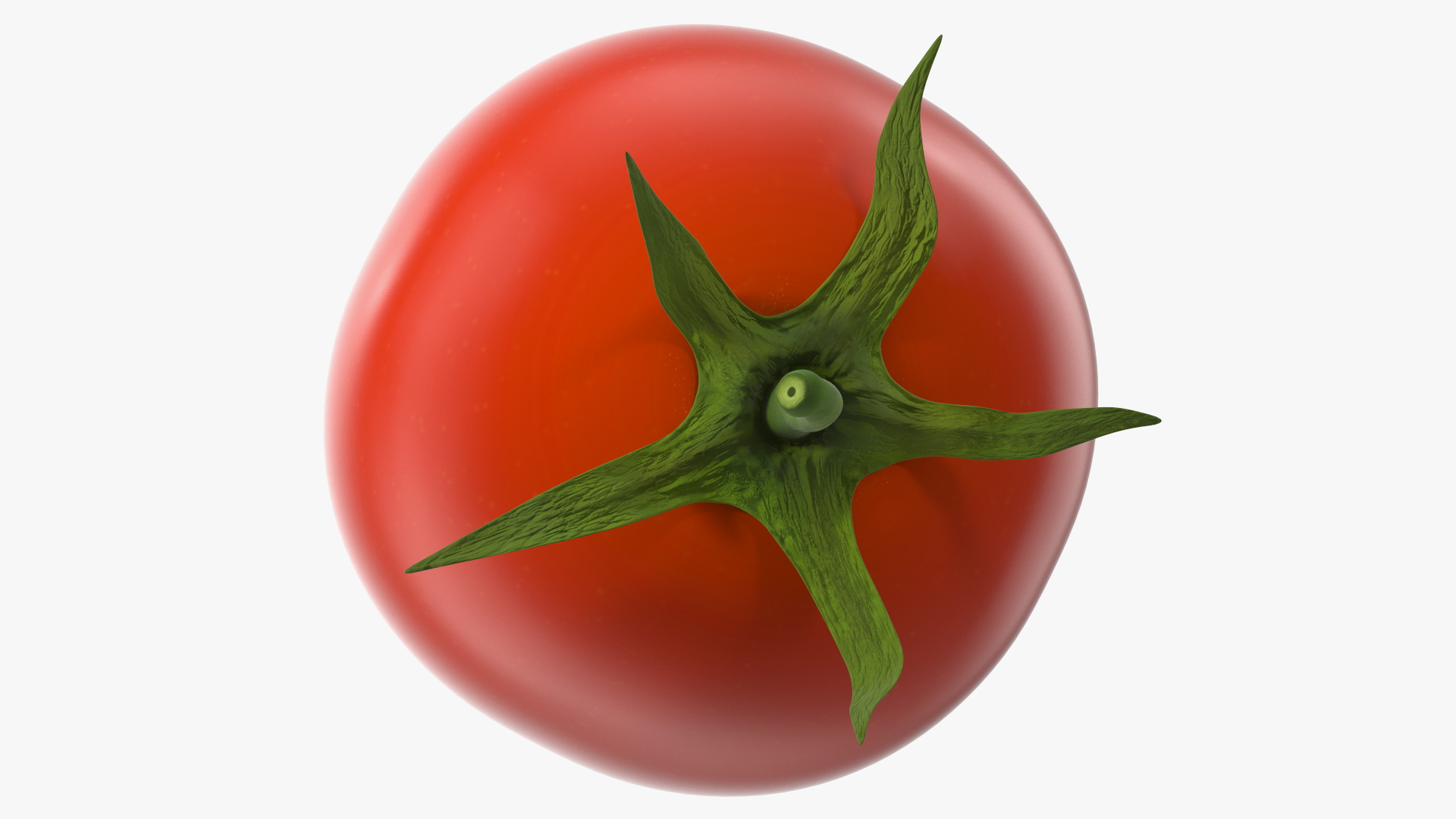 Red Cherry Tomato 3D