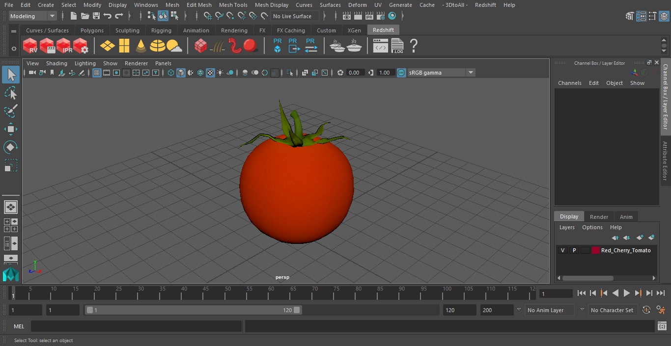 Red Cherry Tomato 3D