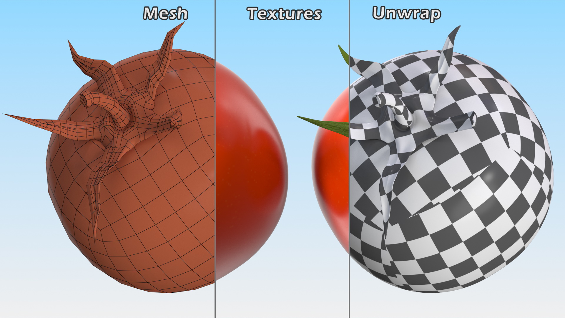 Red Cherry Tomato 3D