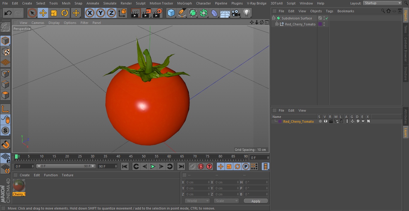 Red Cherry Tomato 3D