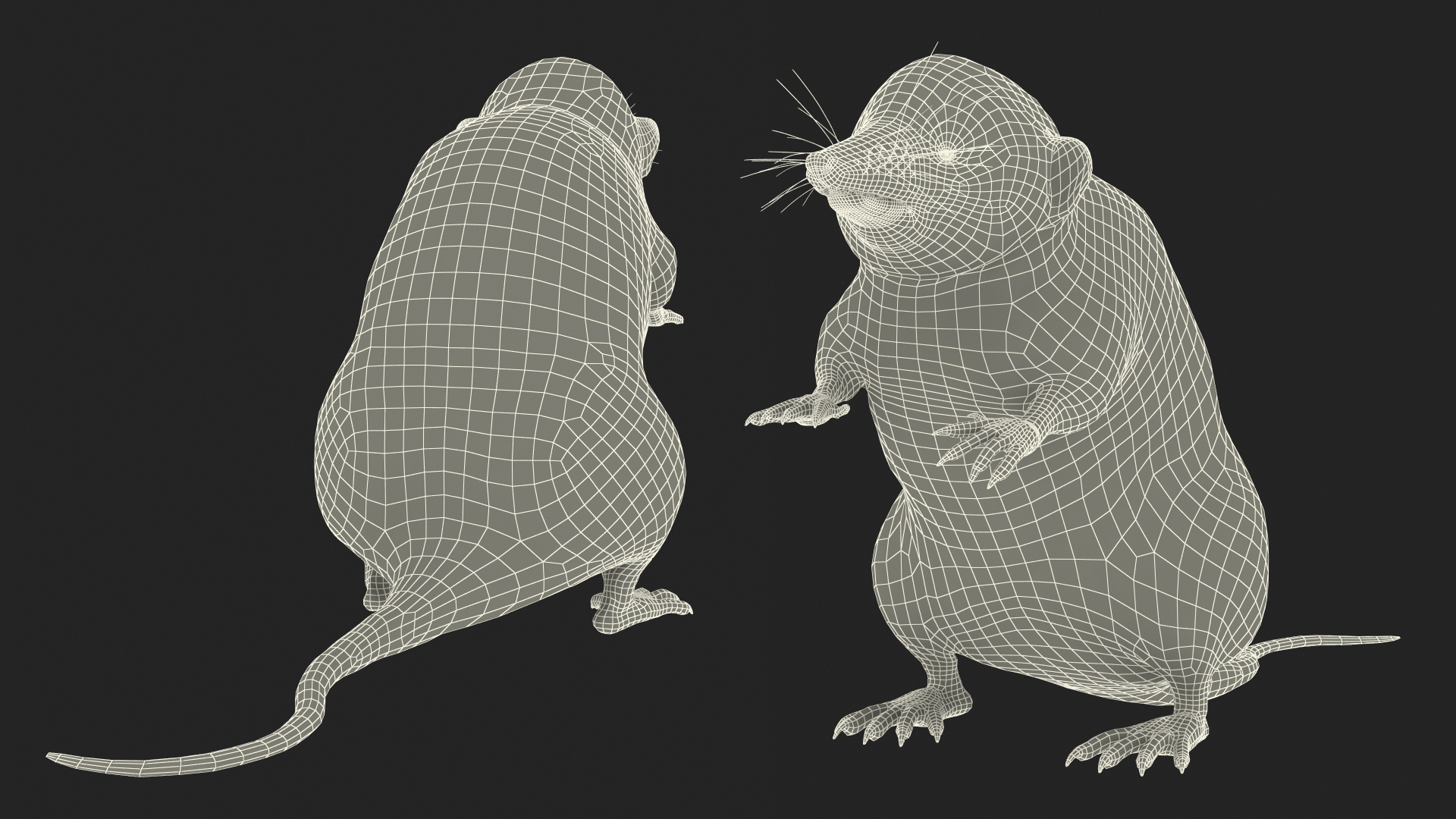 3D Shrew Standing Pose Fur model