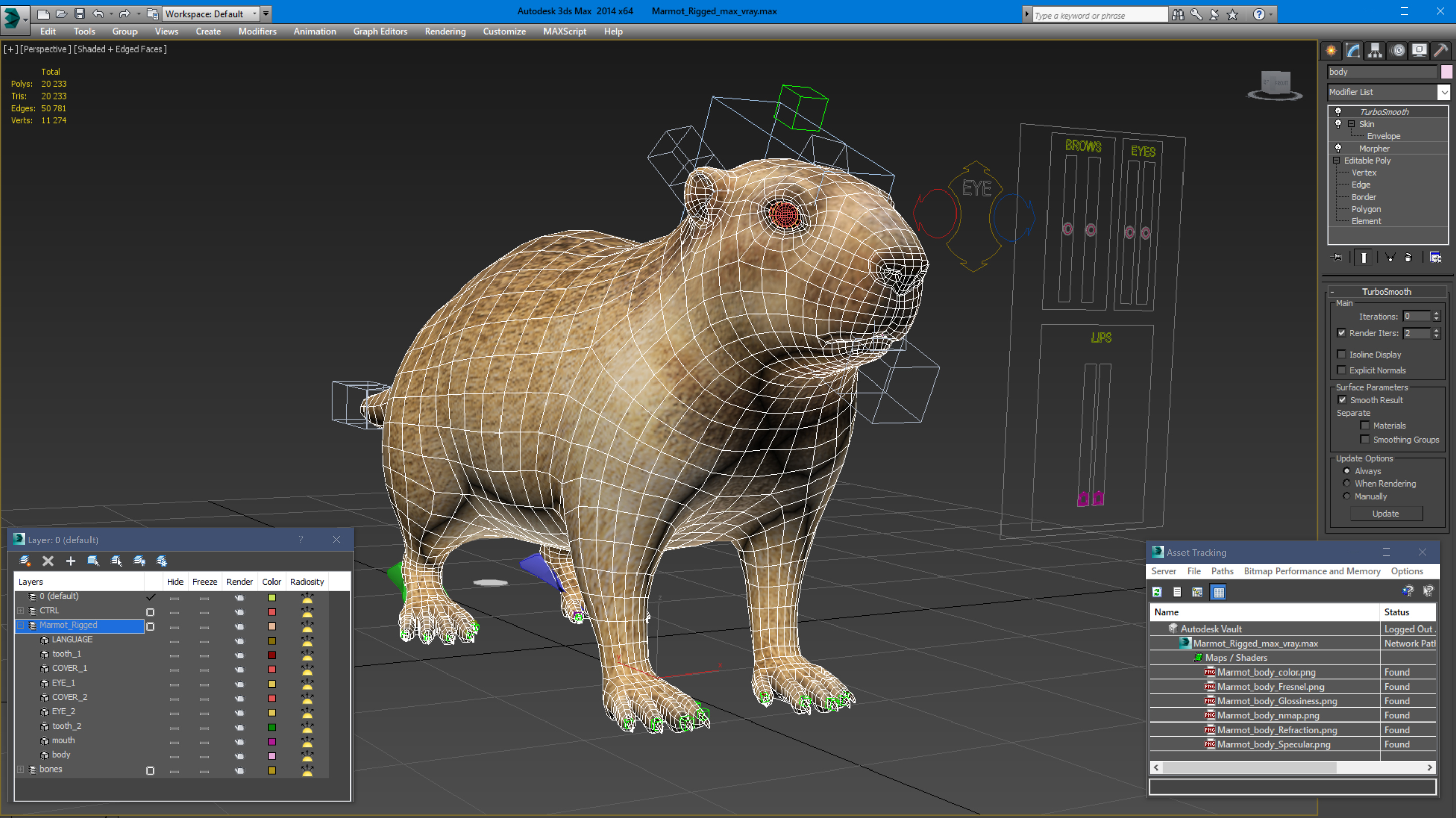 Marmot Rigged for Modo 3D