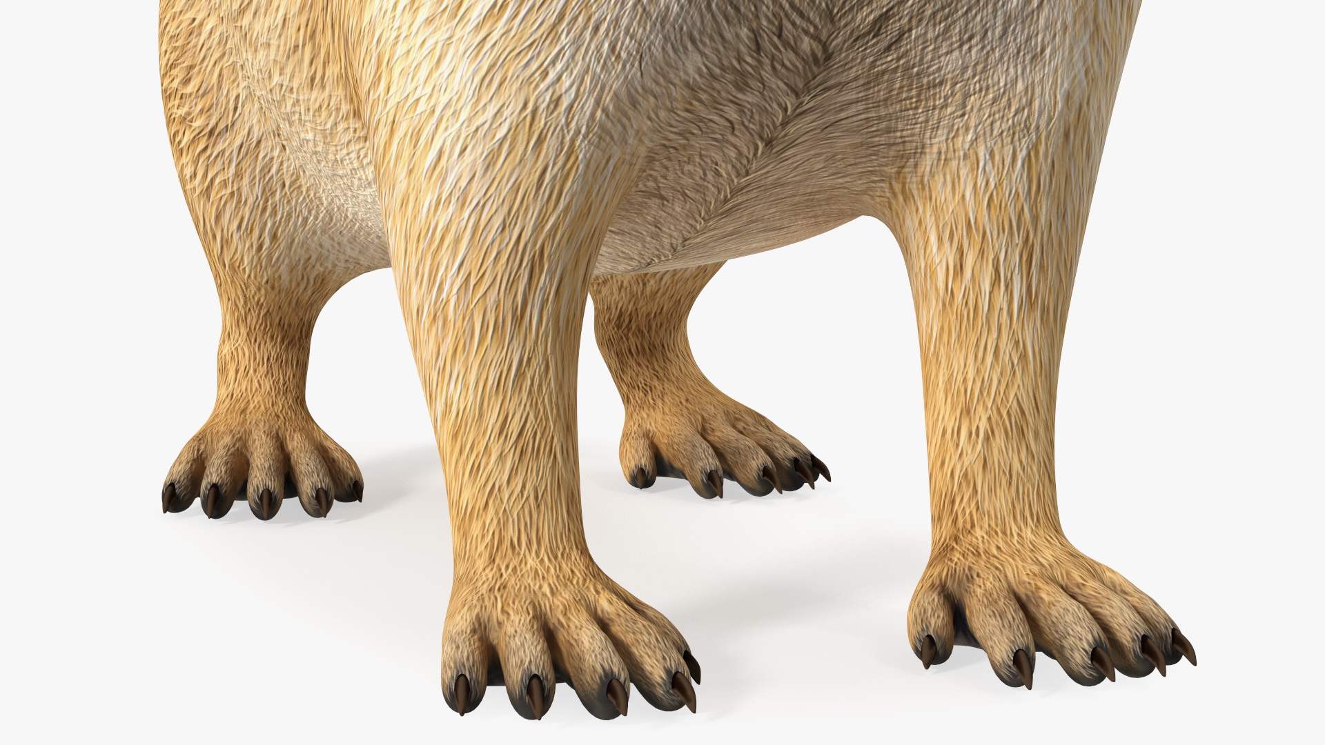 Marmot Rigged for Modo 3D