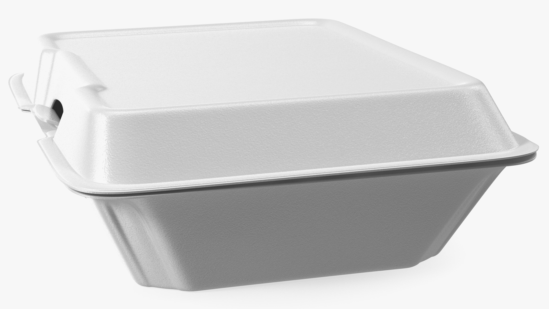 Disposable Food Tray Closed 3D