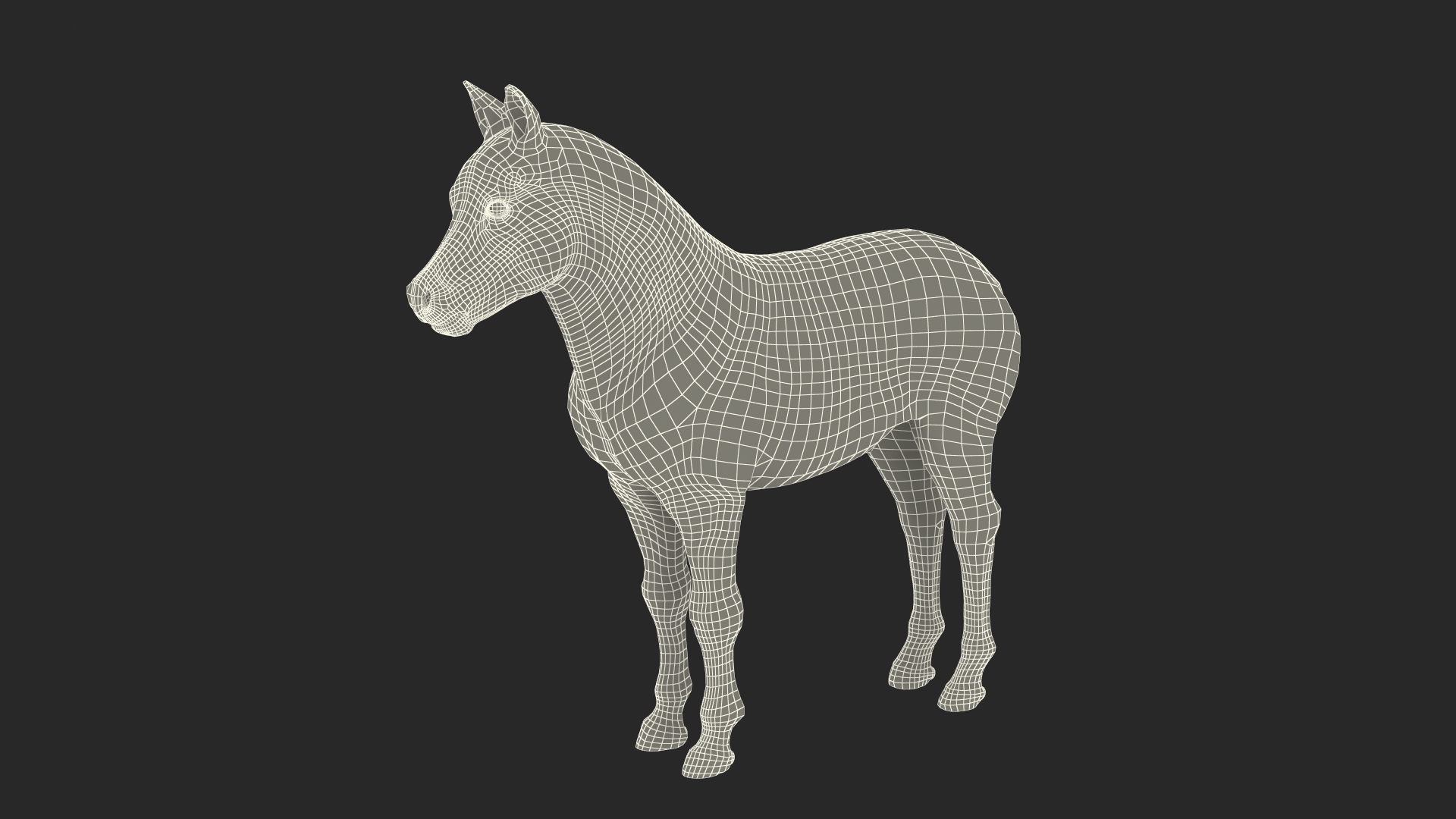 3D Shetland Pony White Fur model