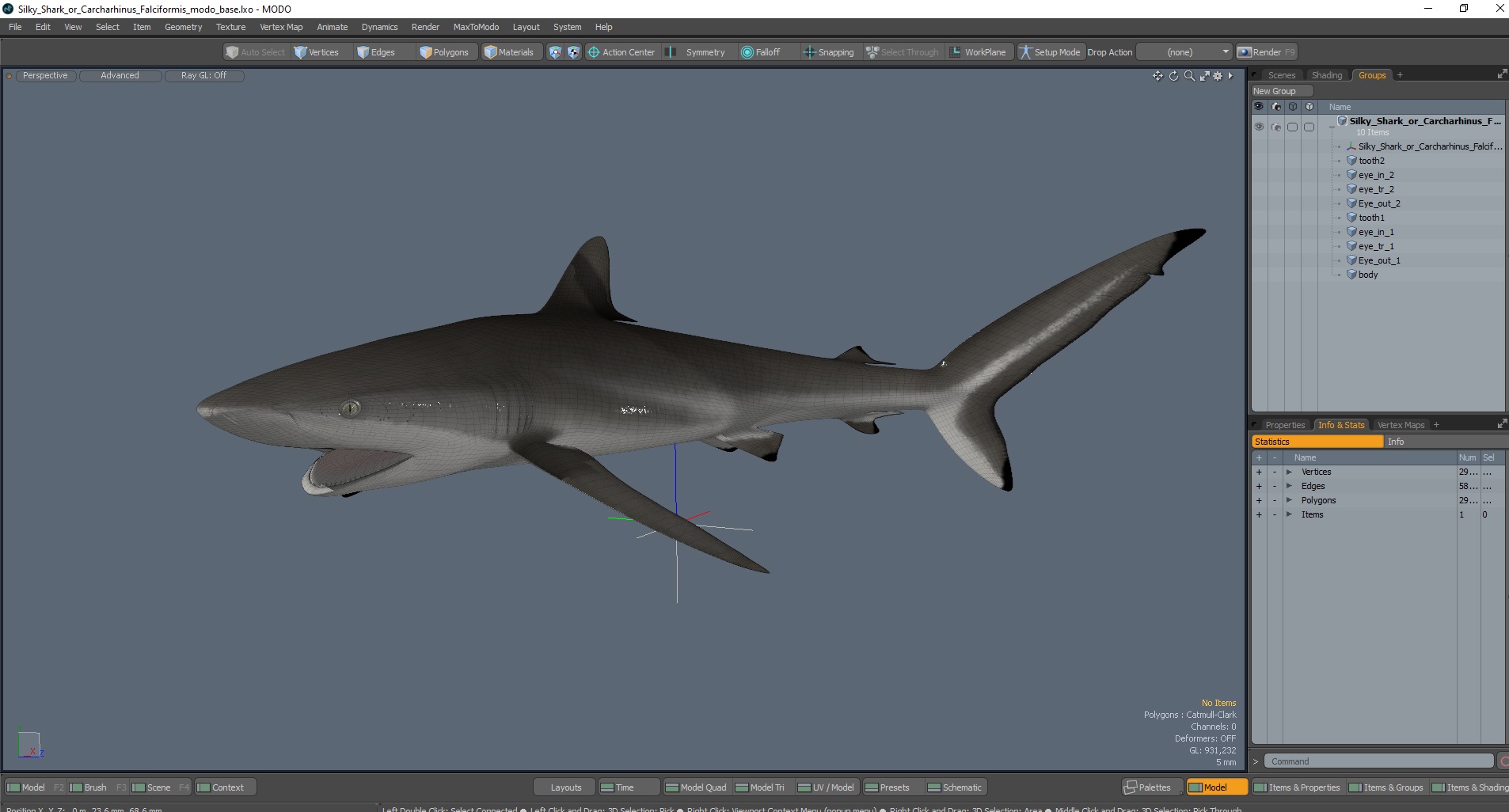 Silky Shark or Carcharhinus Falciformis 3D model