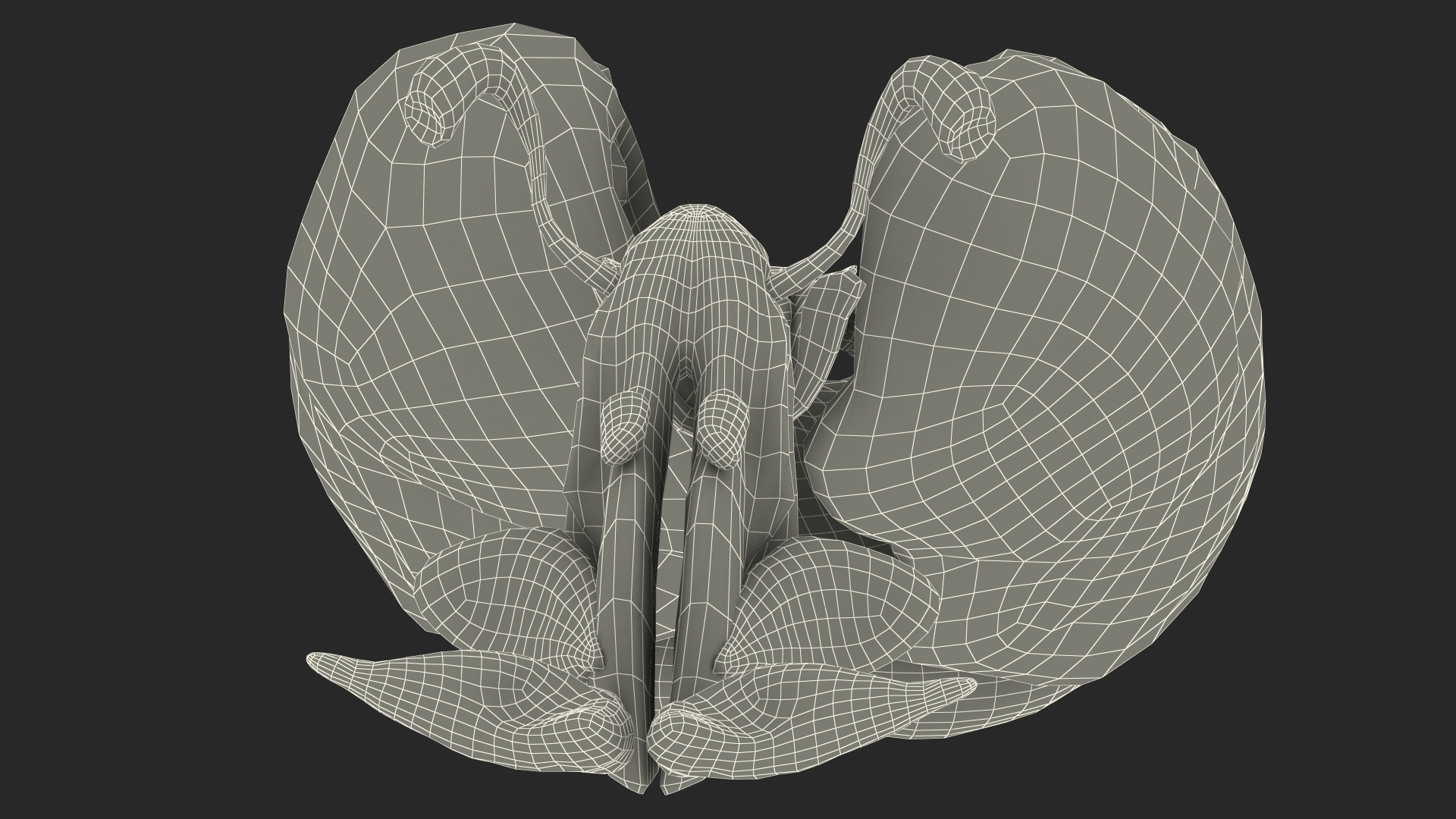 3D Male Respiratory System model