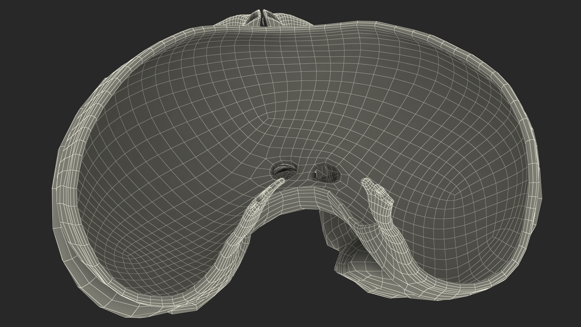 3D Male Respiratory System model