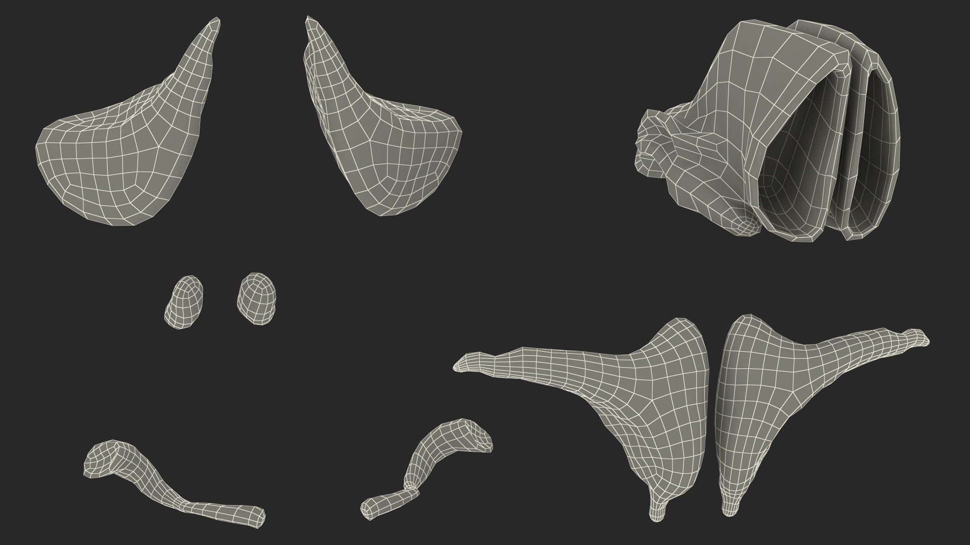 3D Male Respiratory System model