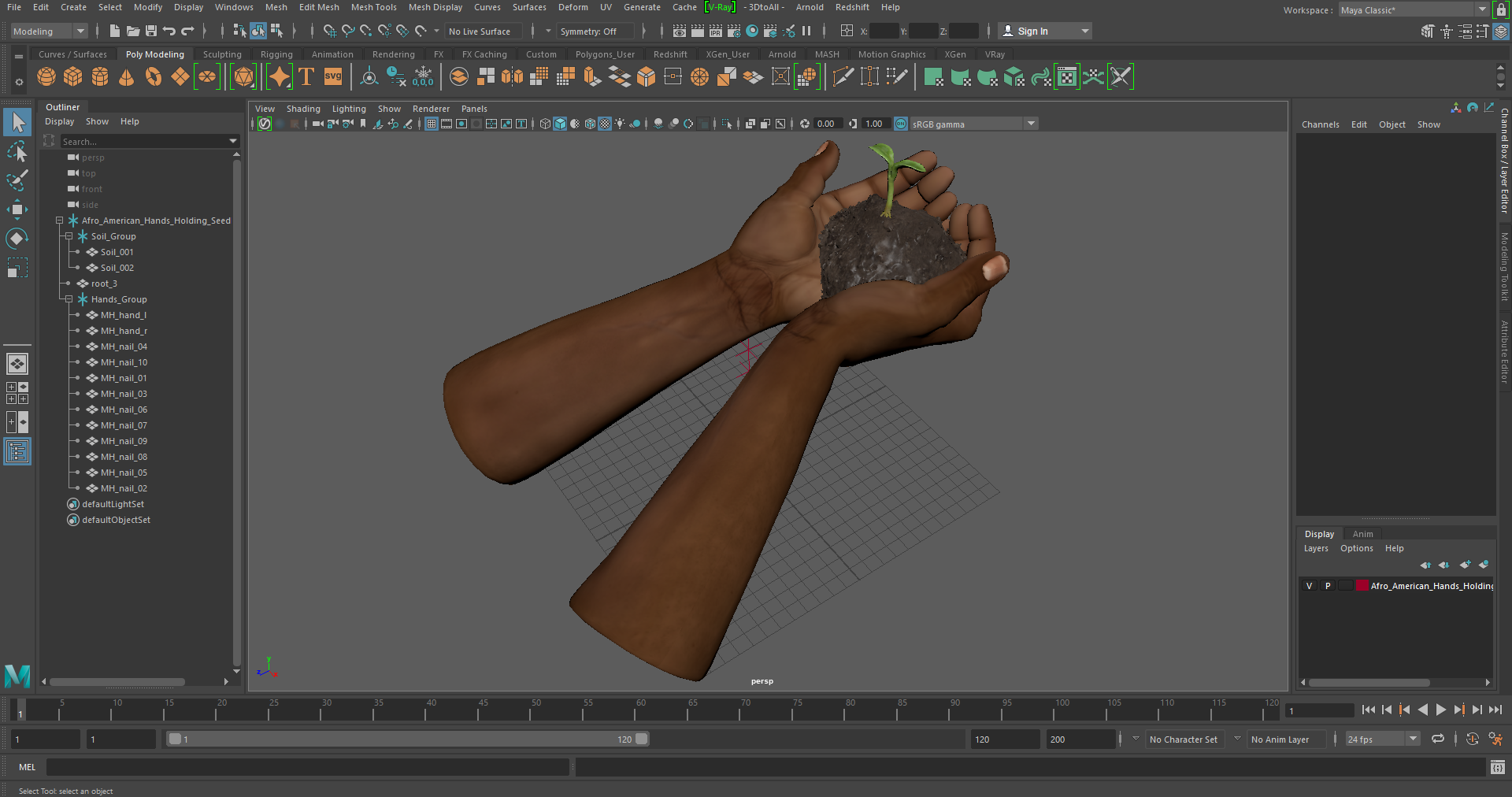 3D Afro American Hands Holding Seedling