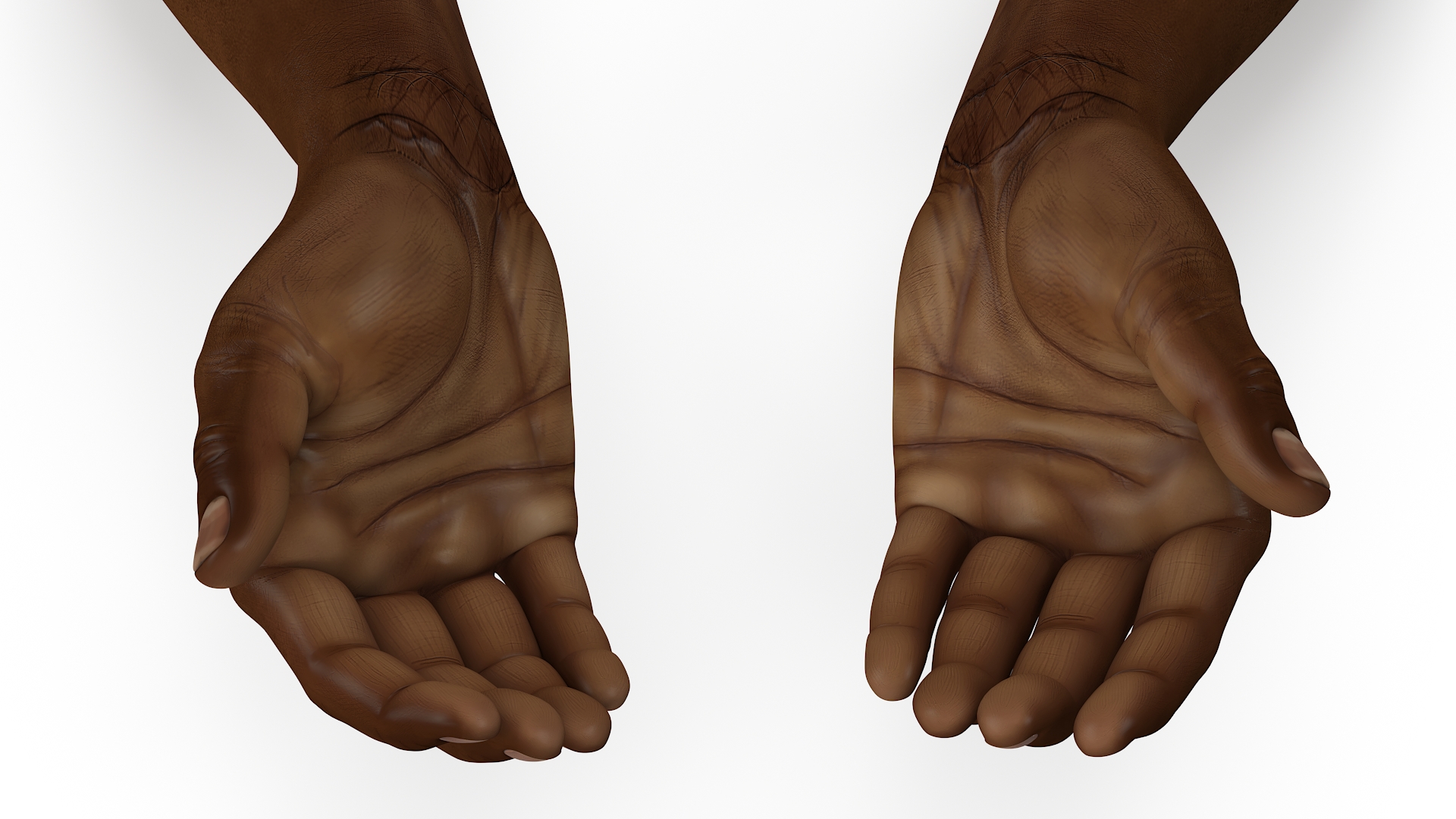 3D Afro American Hands Holding Seedling