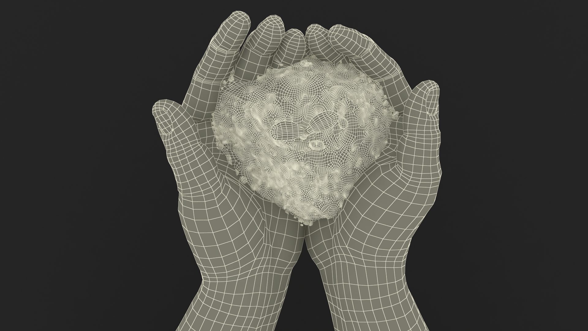 3D Afro American Hands Holding Seedling